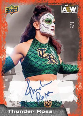 2022 Upper Deck AEW Wrestling Hobby, Box