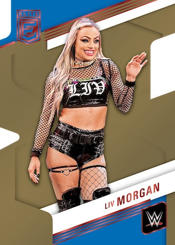 2023 Panini Donruss Elite WWE Hobby, Box