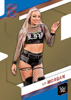 2023 Panini Donruss Elite WWE Hobby, 12 Box Case