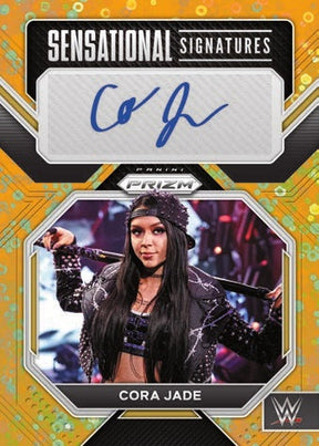 2023 Panini Prizm WWE Hobby, Box