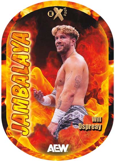 2025 Upper Deck AEW Skybox Metal Universe Wrestling Hobby, Box