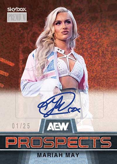 2025 Upper Deck AEW Skybox Metal Universe Wrestling Hobby, Box