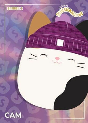 2025 Panini Squishmallows Hobby Mega, Box