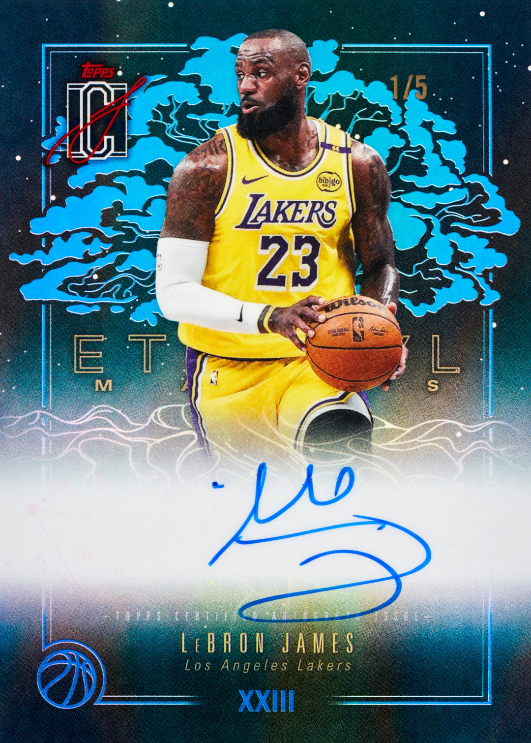 2025-26 Topps Signature Class Basketball Hobby, Box