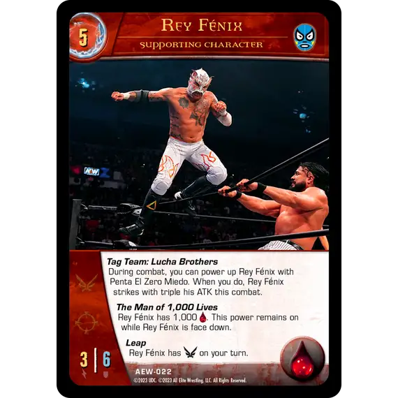 Vs. System 2PCG: AEW Wrestling, Box