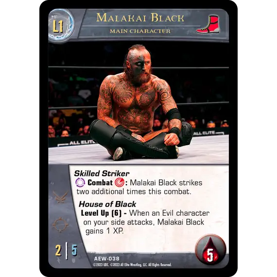 Vs. System 2PCG: AEW Wrestling, Box