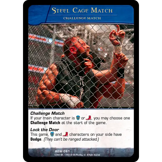 Vs. System 2PCG: AEW Wrestling, Box