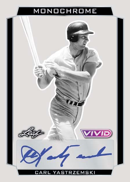 *LAST CASE* 2025 Leaf Vivid Baseball Hobby, 12 Box Case