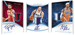 2024-25 Panini Immaculate Basketball Hobby, 5 Box Case