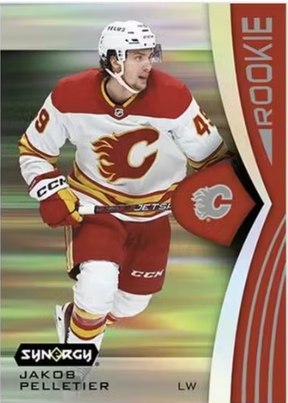 2023-24 Upper Deck Synergy Hobby Hockey, 16 Box Case