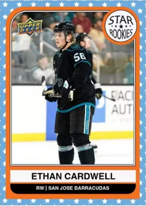 2023-24 Upper Deck AHL Hobby Hockey, 24 Box Master Case