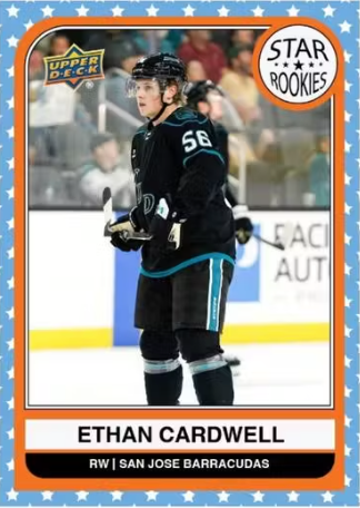 2023-24 Upper Deck AHL Hobby Hockey, 24 Box Master Case