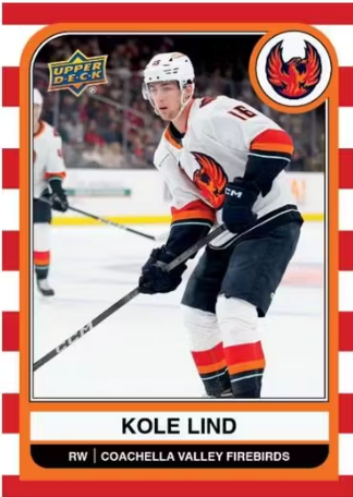 2023-24 Upper Deck AHL Hobby Hockey, Box